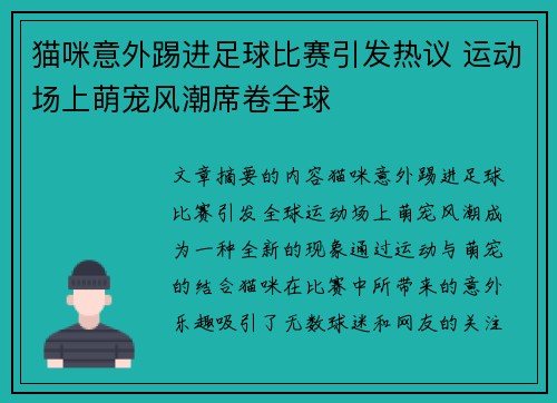 猫咪意外踢进足球比赛引发热议 运动场上萌宠风潮席卷全球