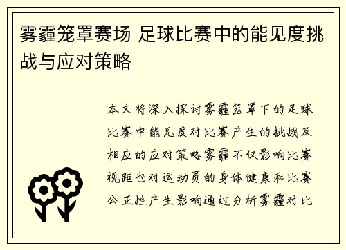 雾霾笼罩赛场 足球比赛中的能见度挑战与应对策略