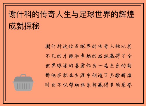 谢什科的传奇人生与足球世界的辉煌成就探秘