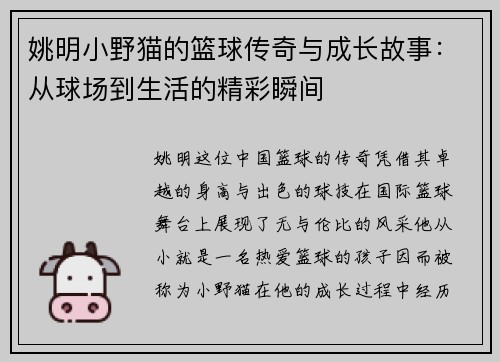 姚明小野猫的篮球传奇与成长故事：从球场到生活的精彩瞬间