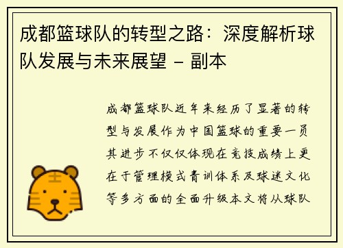 成都篮球队的转型之路：深度解析球队发展与未来展望 - 副本