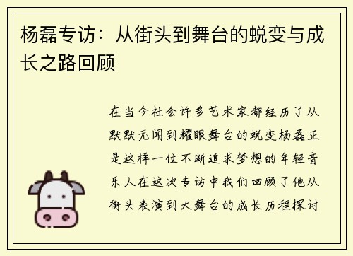 杨磊专访：从街头到舞台的蜕变与成长之路回顾